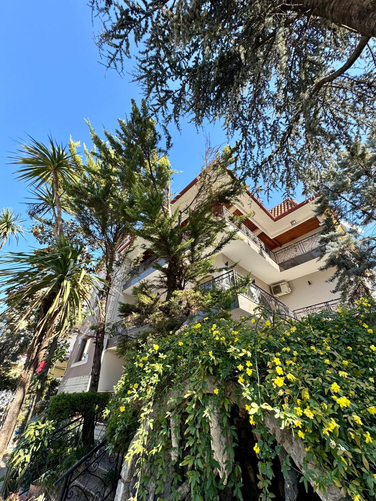 Vila Alizee Hotel Тирана Екстериор снимка