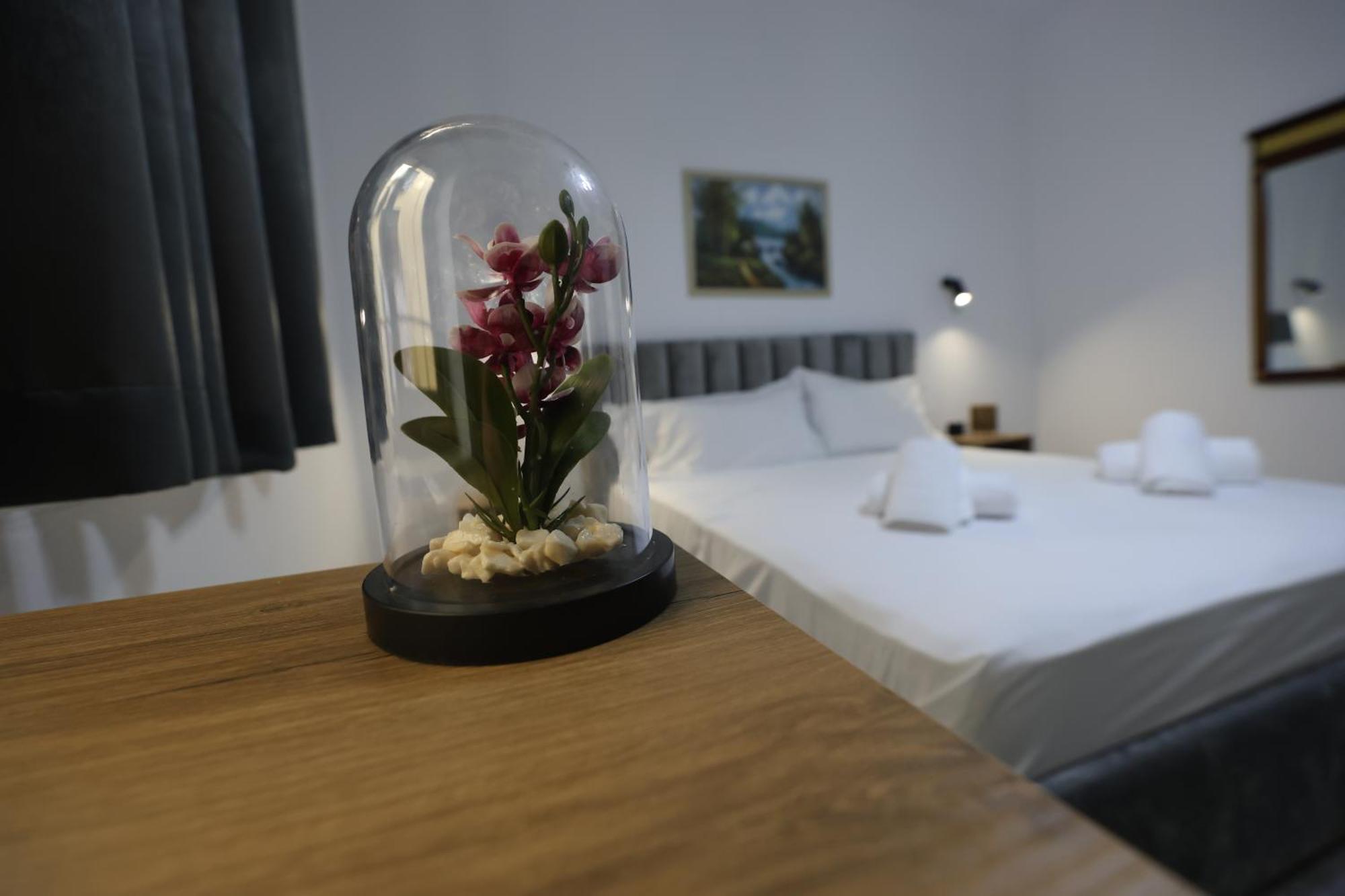 Vila Alizee Hotel Тирана Екстериор снимка
